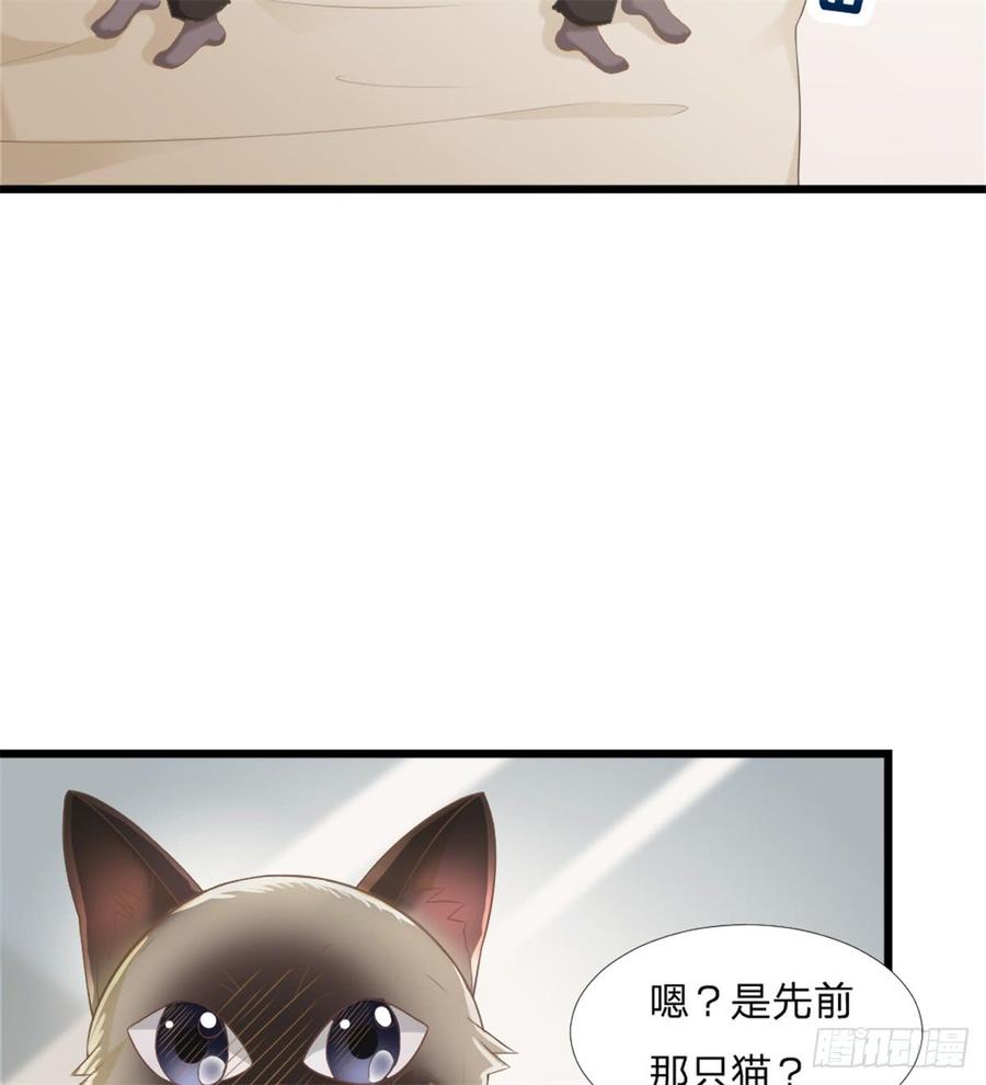 飞行星球小说在哪看漫画,第45话 难眠之夜2图