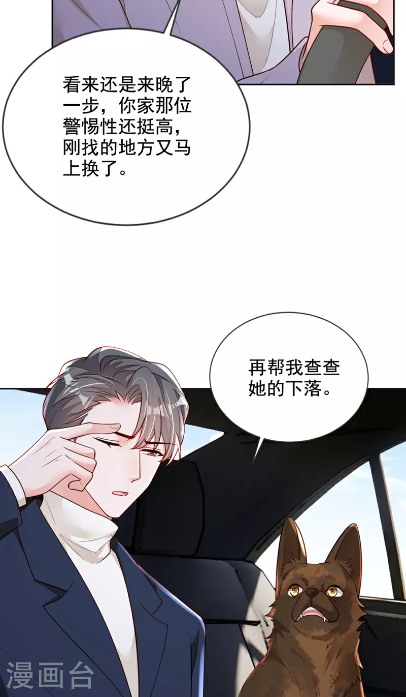 恶魔图片漫画,第165话 狗狗——1图