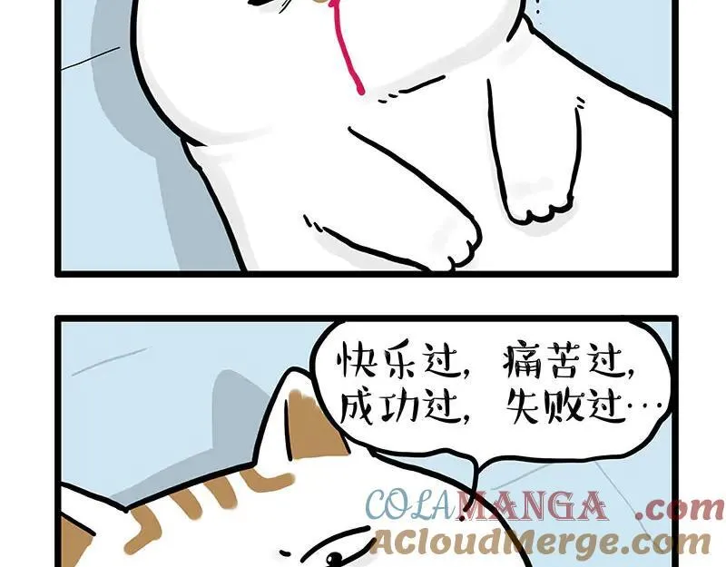 吾皇巴扎黑漫画,第441话 不要出卖老大！1图