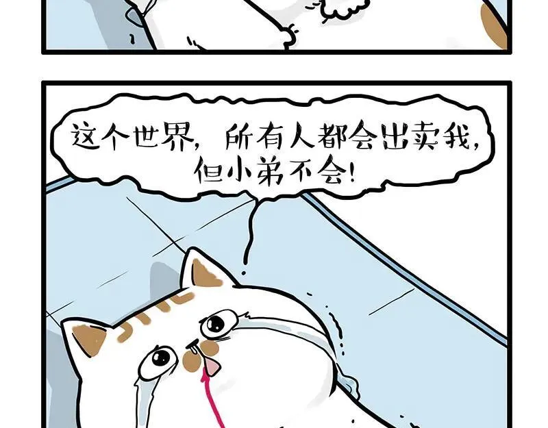 吾皇巴扎黑漫画,第441话 不要出卖老大！2图