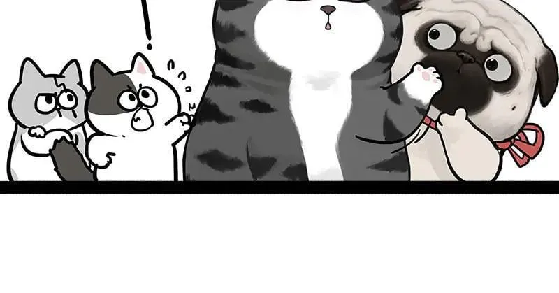 吾皇巴扎黑漫画,第442话 逆风的挑战2图