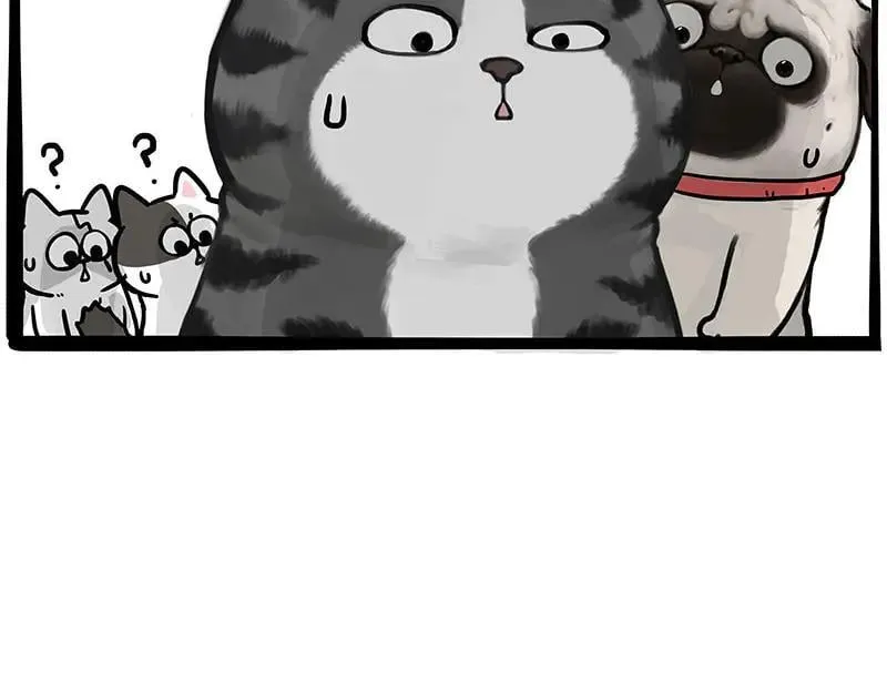 吾皇巴扎黑漫画,第442话 逆风的挑战2图