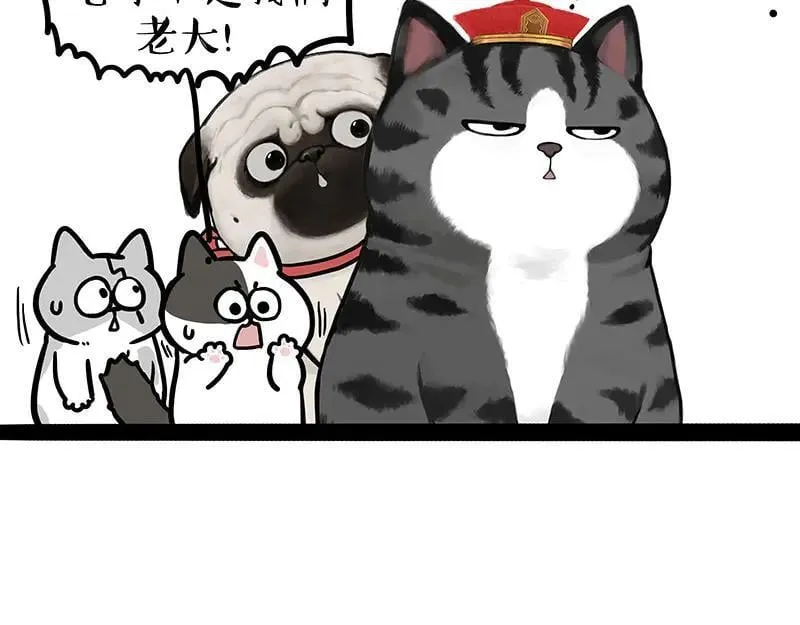 吾皇巴扎黑漫画,第442话 逆风的挑战2图