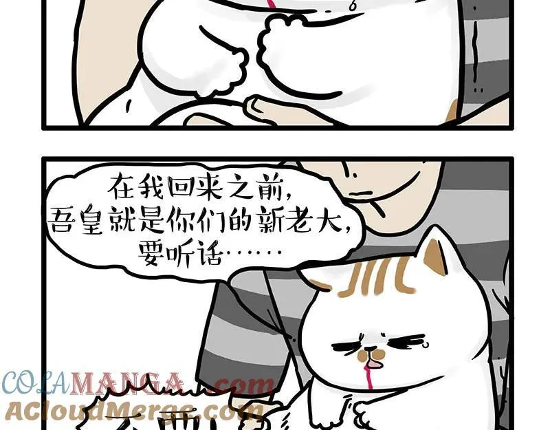 吾皇巴扎黑超话漫画,第440话 不要开这种玩笑1图