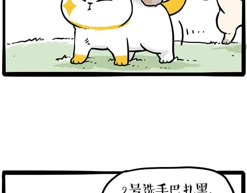 吾皇巴扎黑漫画,第442话 逆风的挑战2图