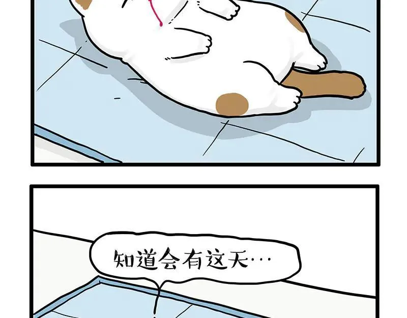 吾皇巴扎黑漫画,第441话 不要出卖老大！2图
