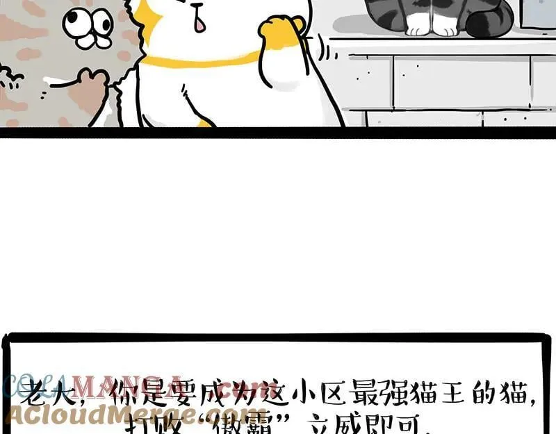 吾皇巴扎黑漫画,第442话 逆风的挑战1图