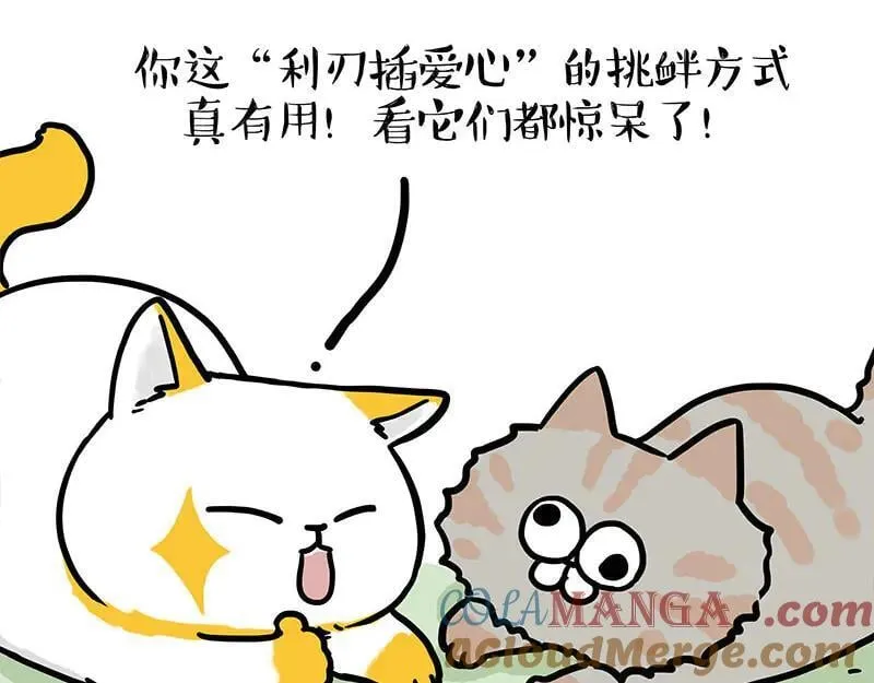 吾皇巴扎黑漫画,第442话 逆风的挑战1图