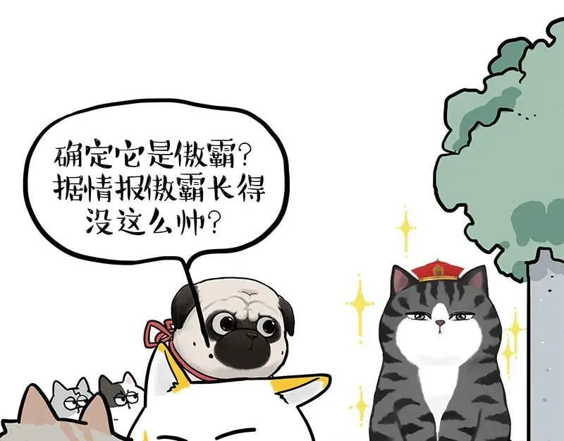 吾皇巴扎黑漫画,第442话 逆风的挑战2图