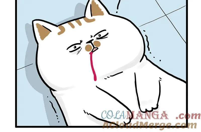 吾皇巴扎黑漫画,第441话 不要出卖老大！1图