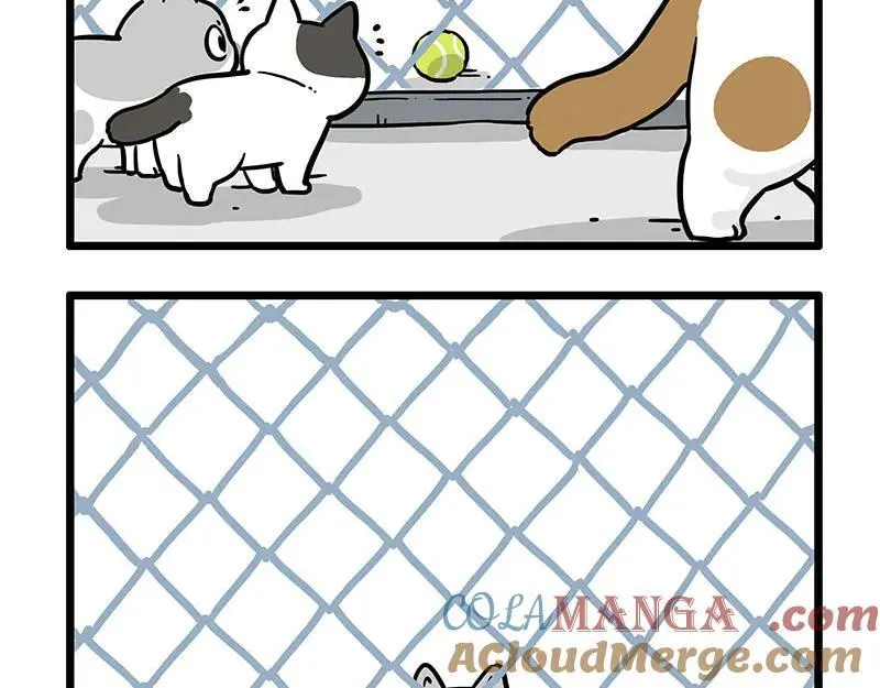 吾皇巴扎黑漫画,第439话 老大倒下了！1图