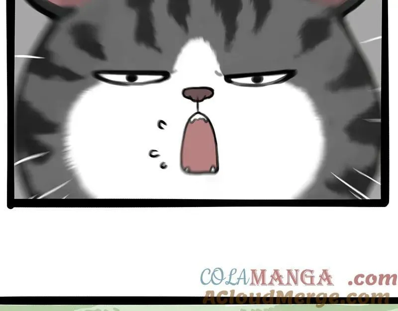 吾皇巴扎黑超话漫画,第442话 逆风的挑战1图