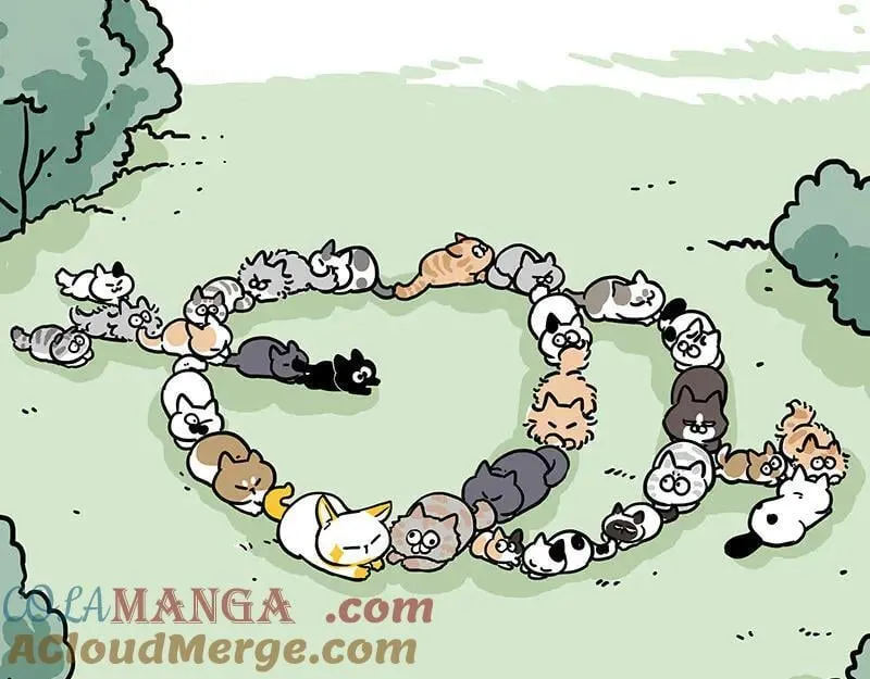 吾皇巴扎黑漫画,第442话 逆风的挑战1图