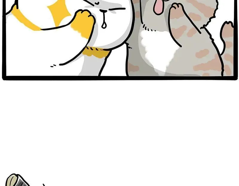 吾皇巴扎黑漫画,第442话 逆风的挑战2图