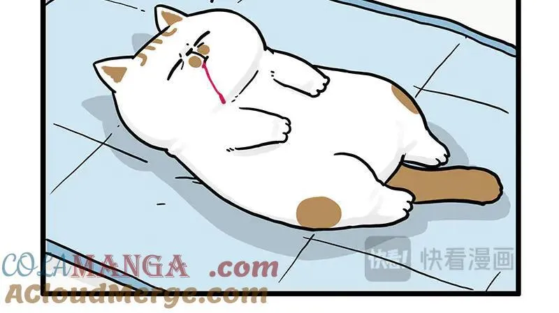 吾皇巴扎黑漫画,第441话 不要出卖老大！1图
