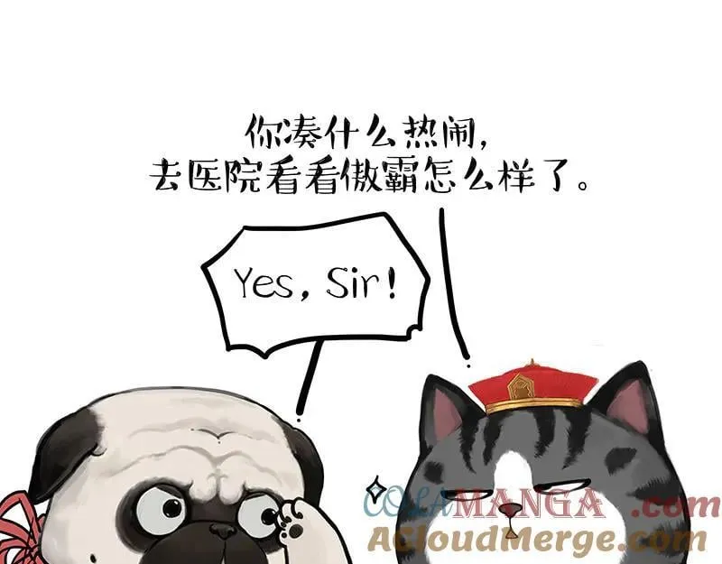 吾皇巴扎黑超话漫画,第442话 逆风的挑战1图