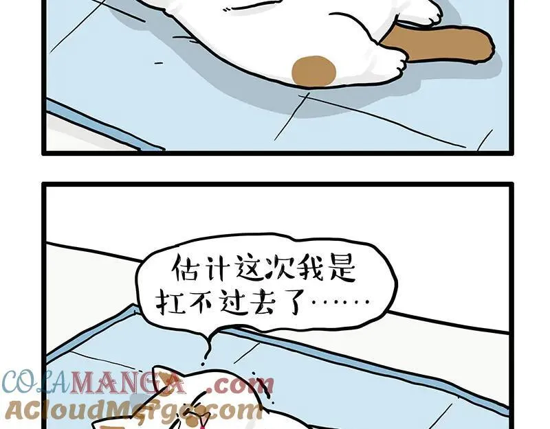 吾皇巴扎黑漫画,第441话 不要出卖老大！1图