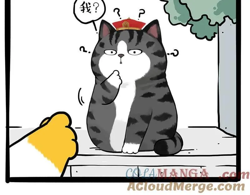 吾皇巴扎黑漫画,第442话 逆风的挑战1图