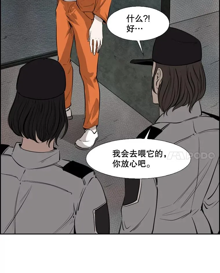 鲨鱼的英语怎么说漫画,124.外传3.那只猫想让你自由2图