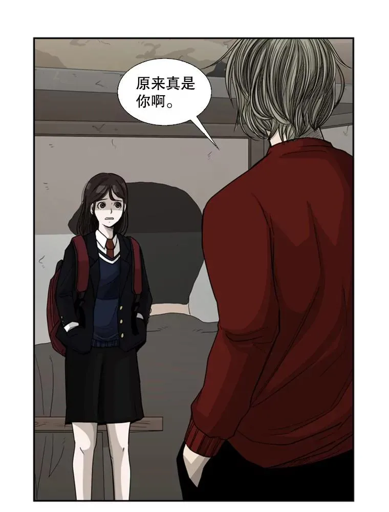 鲨鱼的英语怎么说漫画,32.肉麻2图