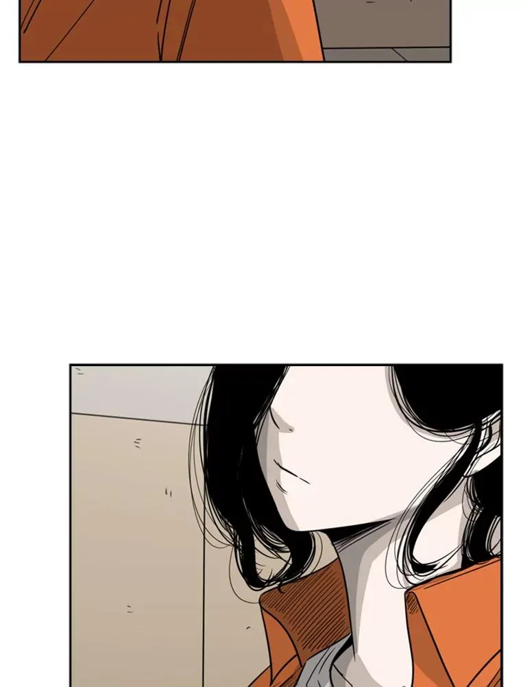 鲨鱼的英语怎么说漫画,55.和平协议2图