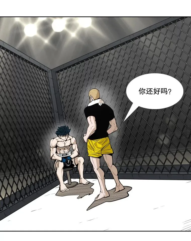 鲨鱼的英语怎么说漫画,266.伺机而动2图