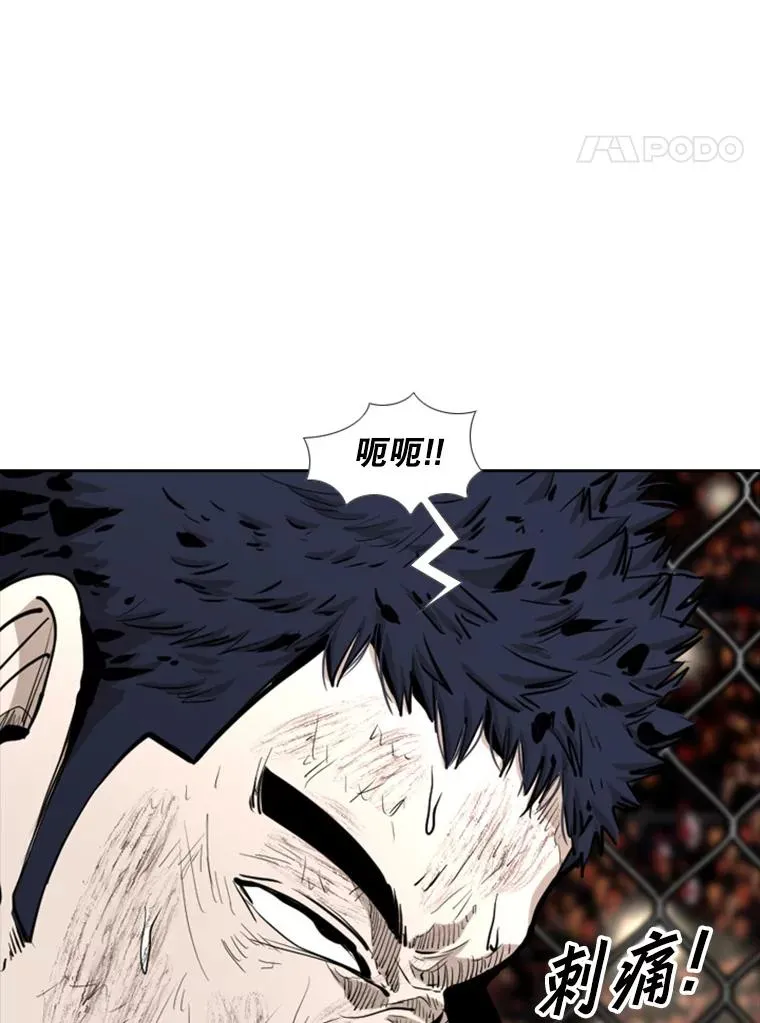 鲨鱼的英语怎么说漫画,222.暴风雨前的宁静2图