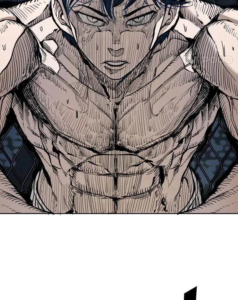 鲨鱼的英语怎么说漫画,266.伺机而动2图