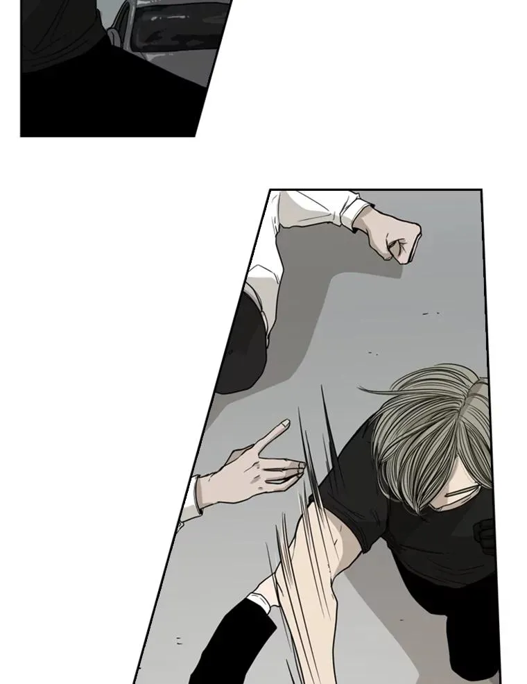 鲨鱼的英语怎么说漫画,26.第一次出动2图