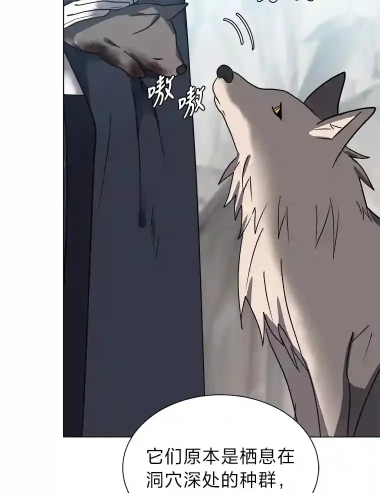 读心少年利沙度漫画,44.新同伴1图
