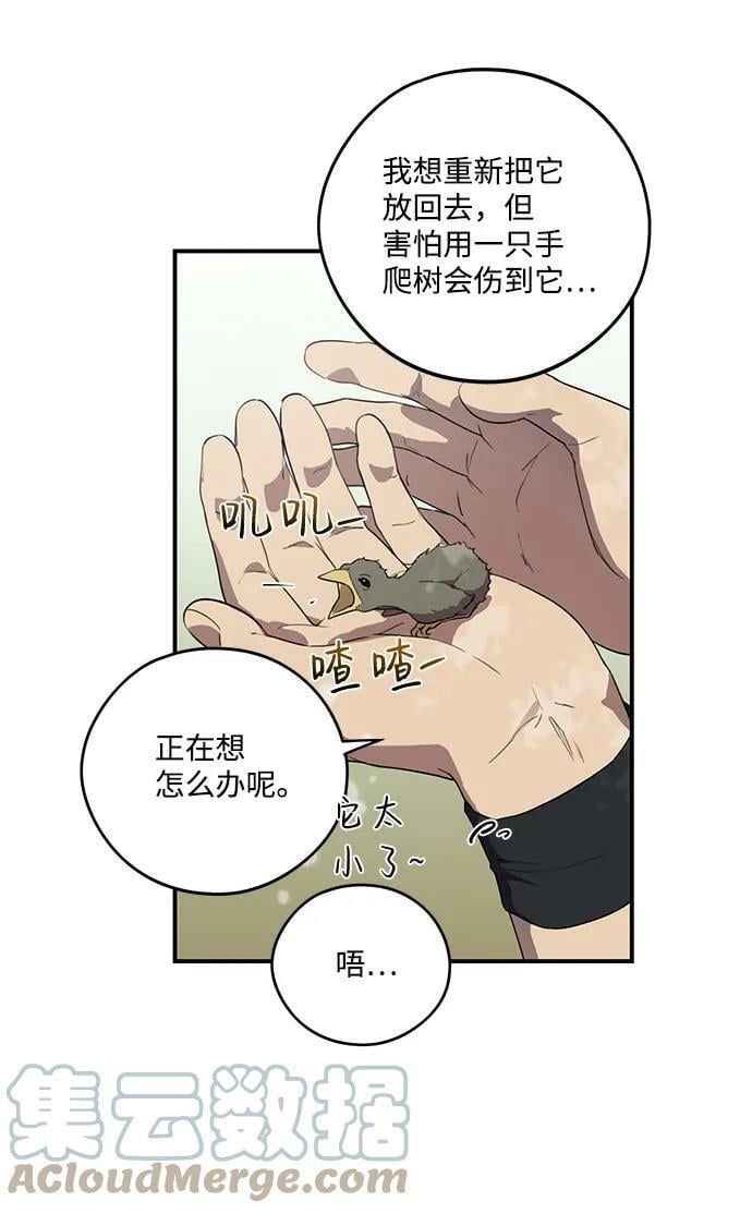 落日夕阳冰冷目光漫画免费漫画,[第114话] 结婚吗？！（1）1图