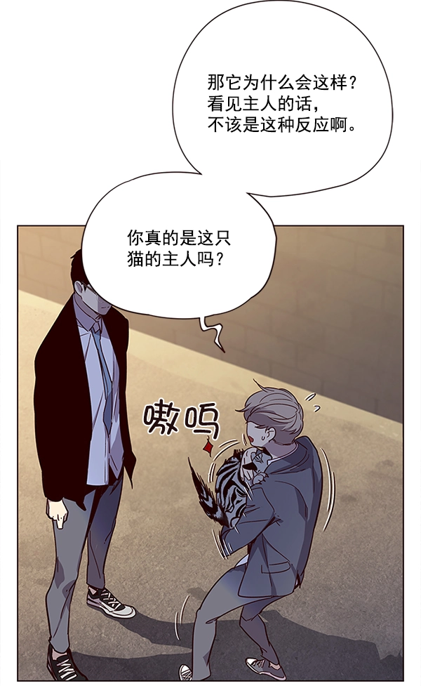 觉醒吧铲屎官漫画免费观看180话漫画,第11话1图
