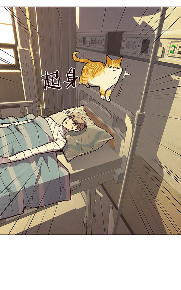 觉醒吧铲屎官漫画免费观看180话漫画,第29话2图