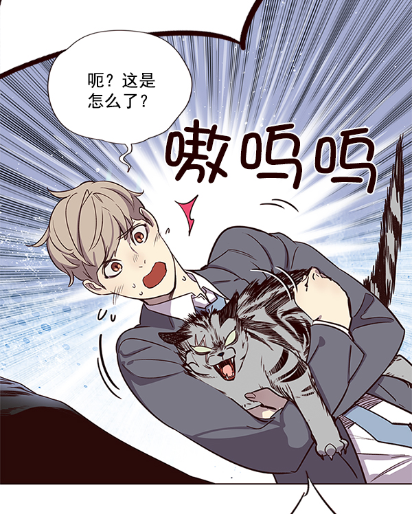 觉醒吧铲屎官漫画免费观看180话漫画,第11话2图