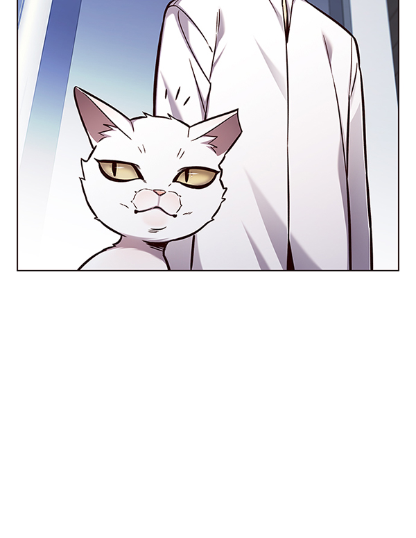 觉醒吧铲屎官335漫画,第144话1图
