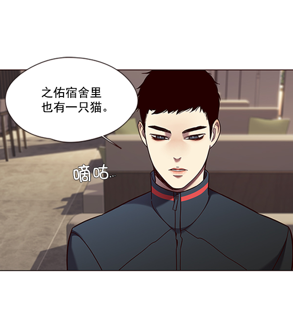 觉醒吧铲屎官335漫画,第78话2图