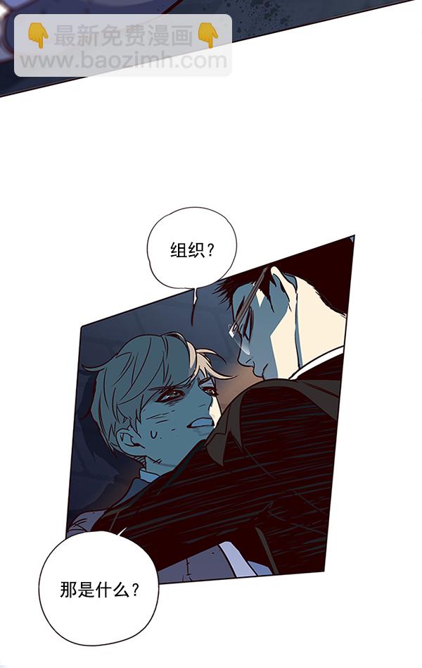 觉醒吧铲屎官漫画免费观看180话漫画,第12话2图