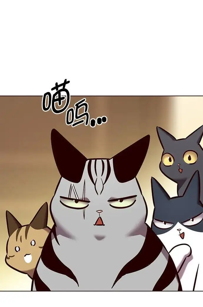觉醒吧铲屎官335漫画,第262话1图