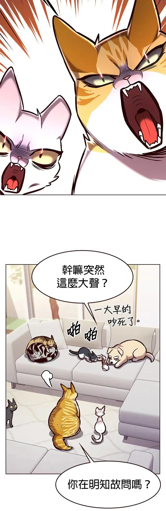 铲屎官!漫画在线观看漫画,第285话2图