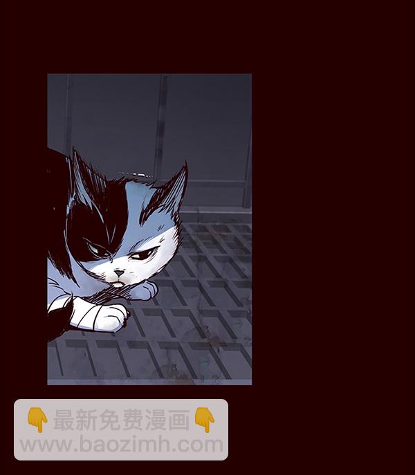 铲屎官!漫画免费漫画,第36话2图