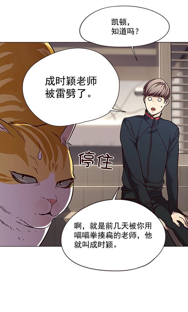 觉醒吧铲屎官漫画免费观看180话漫画,第94话1图