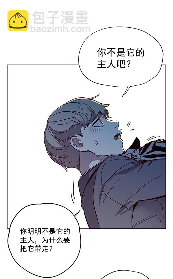觉醒吧铲屎官漫画免费观看180话漫画,第11话1图