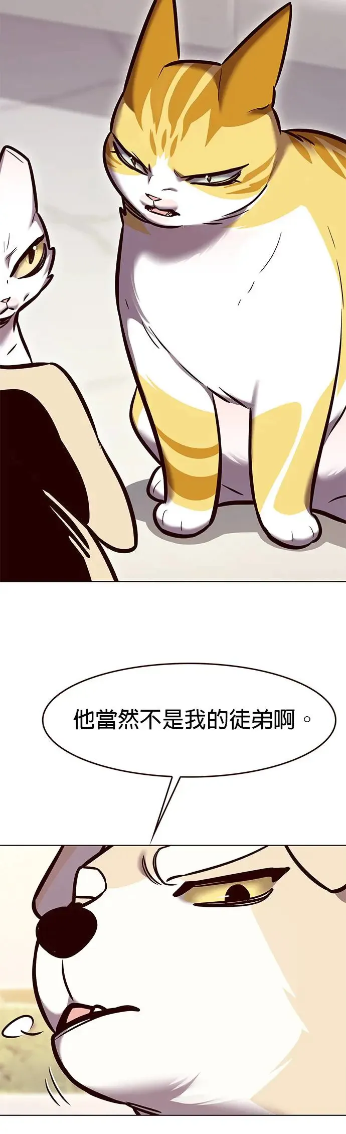 铲屎官!漫画在线观看漫画,第285话1图