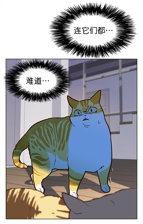 觉醒吧铲屎官漫画免费观看180话漫画,第11话2图