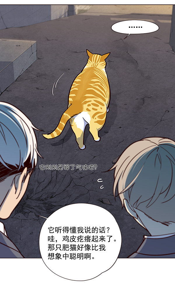 觉醒吧铲屎官漫画免费观看180话漫画,第41话1图