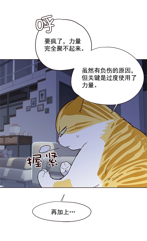 觉醒吧铲屎官335漫画,第8话1图