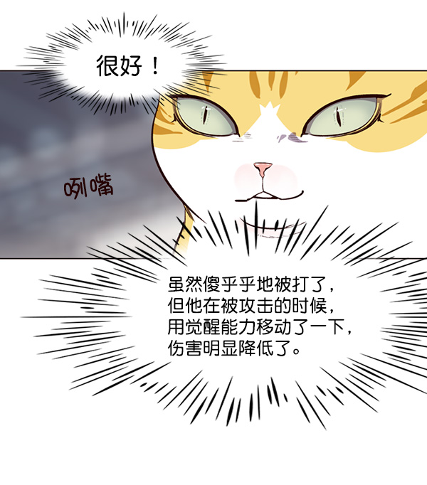 觉醒吧铲屎官漫画免费观看180话漫画,第25话1图
