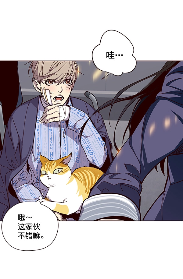 觉醒吧铲屎官335漫画,第33话2图