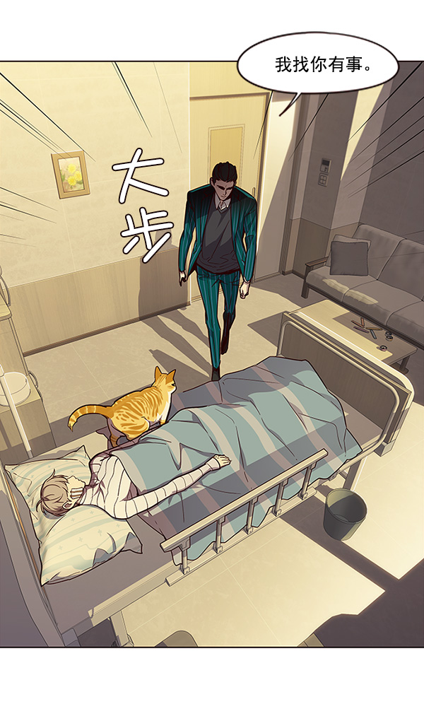 觉醒吧铲屎官漫画免费观看180话漫画,第29话2图
