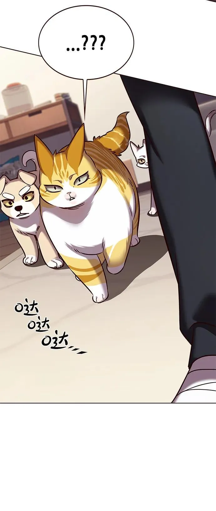 觉醒吧铲屎官335漫画,第305话2图